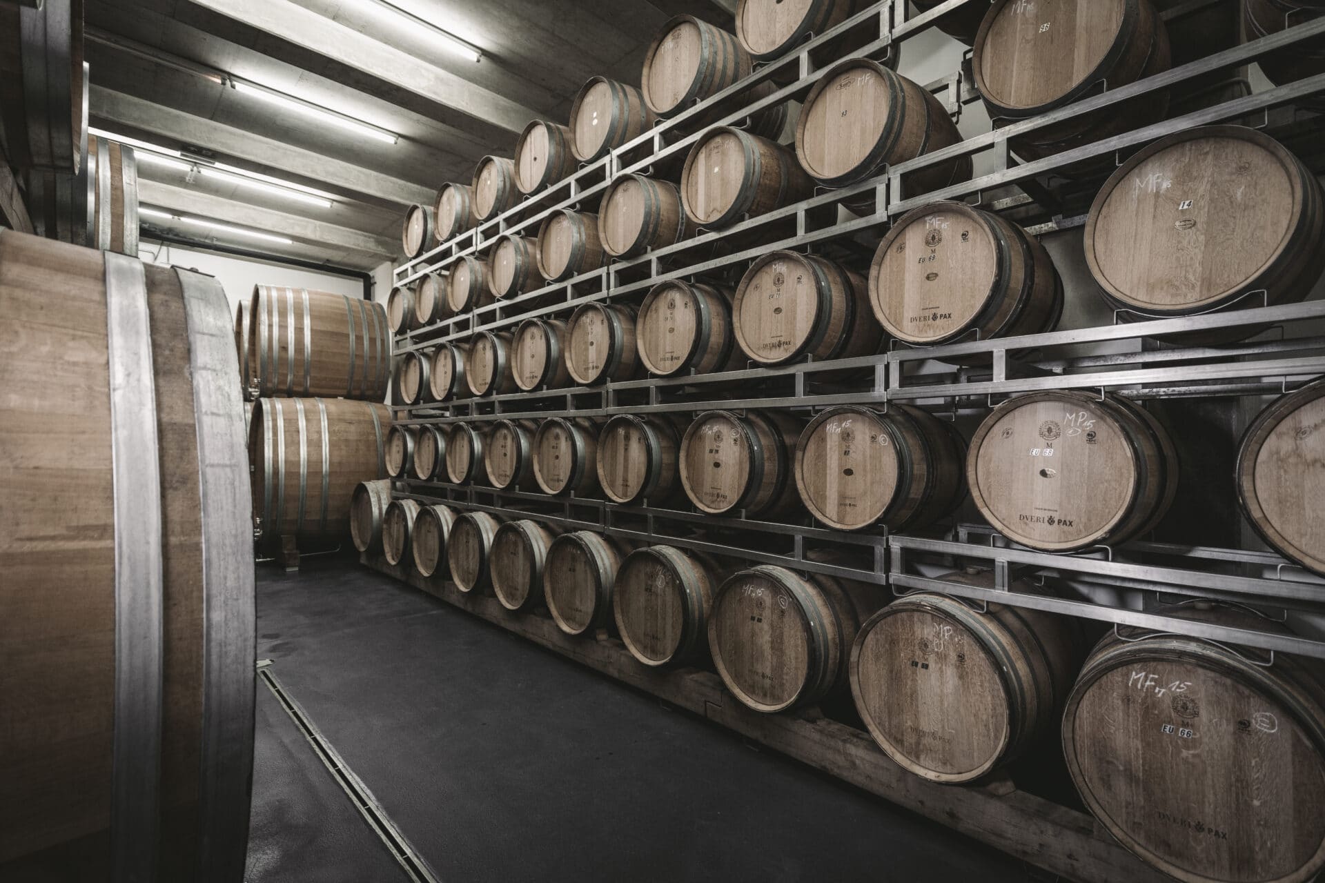 DveriPAX©StefanLeitner_005