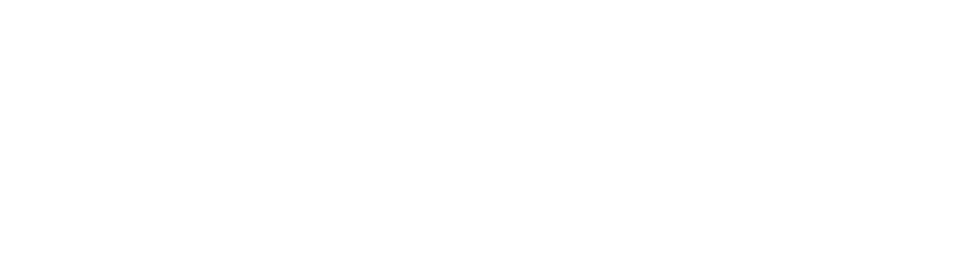 wildfire logo weiß ohne hintergrund